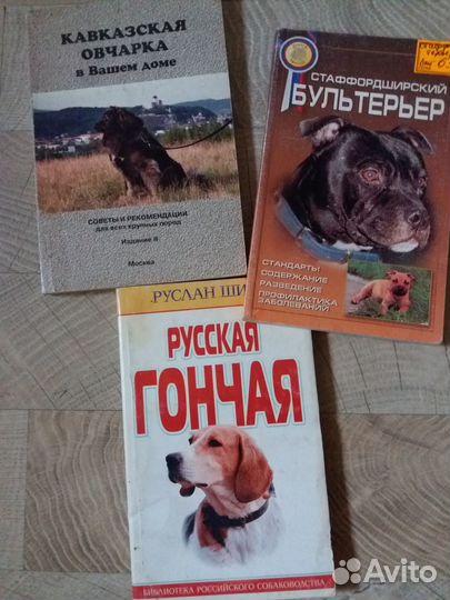 Собаки, кошки, попугаи, канарейка, хомяки, крысы