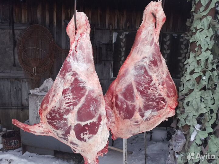 Продам мясо телятина деревенская)