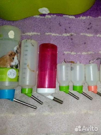 Поилка для грызунов (крыс, хомяков, кроликов)