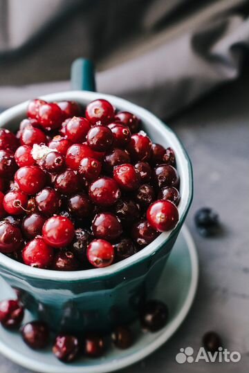 Фуд фотограф