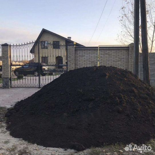 Чернозем