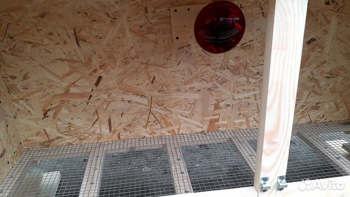 Брудеры для суточного молодняка птицы