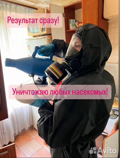 Травля клопов, таракановДезисекция