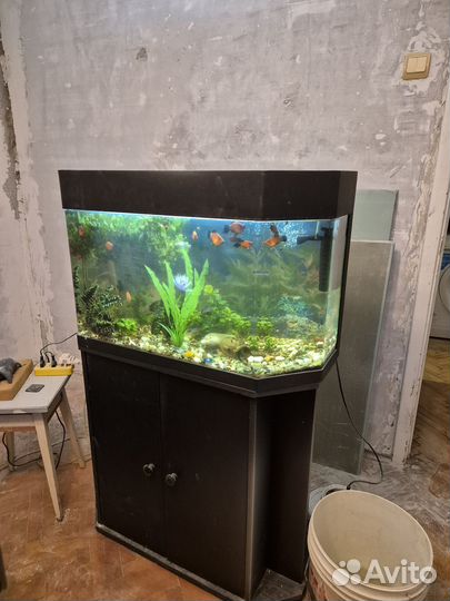 Аквариум с тумбой 100л
