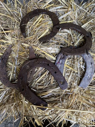 Подковы старые на 