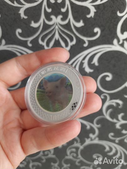 Монета 1 доллар Бегущий поросенок 2007 год серебро