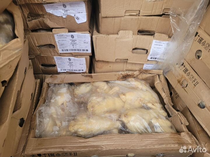 Куры несушки для домашних животных на корм