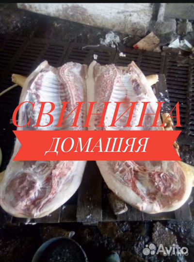Мясо свинина домашняя