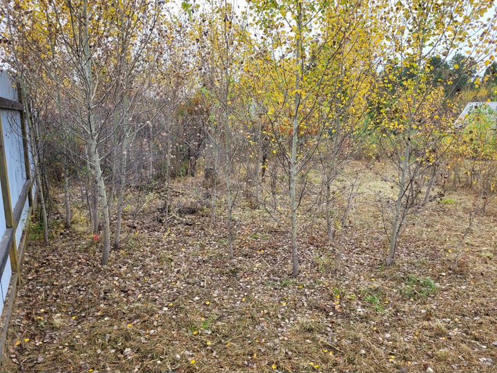 Участок 10 сот. (СНТ, ДНП)