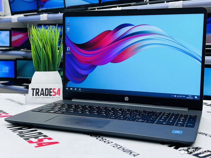 Ноутбук HP 15.6