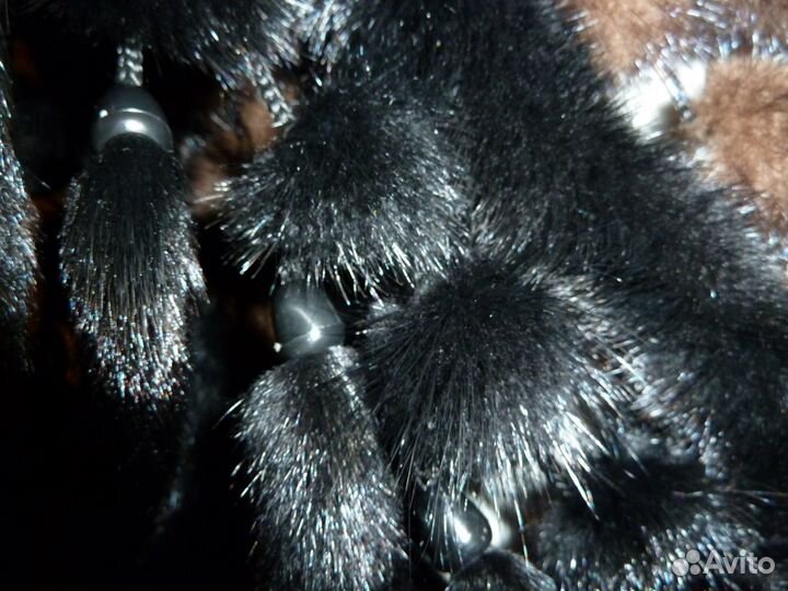 Шаль натуральная норка новая