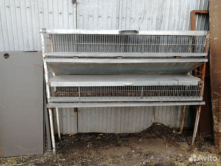 Клетки для перепелов