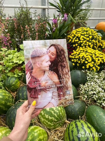 Art фото с дополненной реальностью