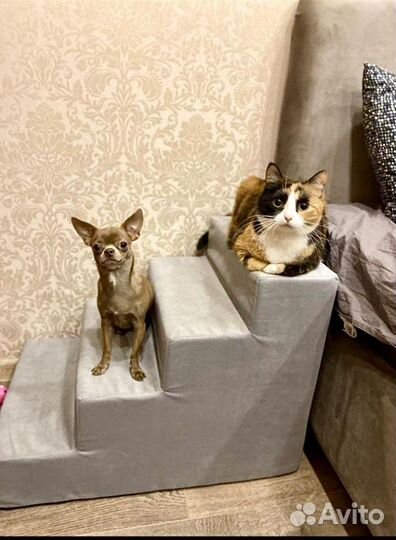 Ступеньки и лесенки для собак