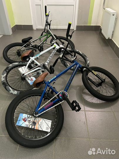 BMX Forward / Tech Team Duke