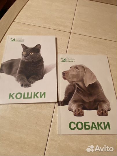 Брошюры Кошки Собаки