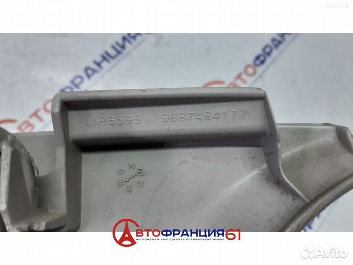 Накладка декоративная, 8338AT citroen C4 (B7), 303