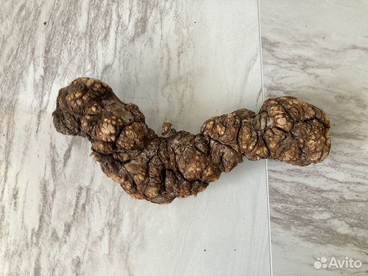 Коряги морские дрифтвуд поштучно