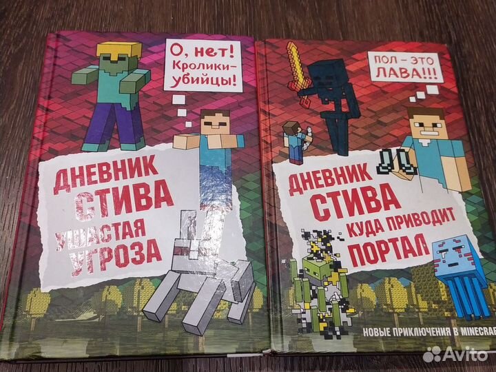 Книга дневник стива