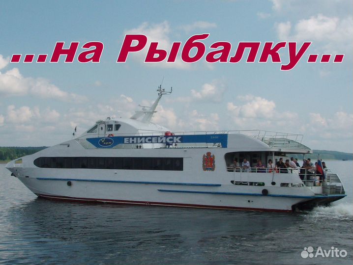 Рыбалка на Щуку