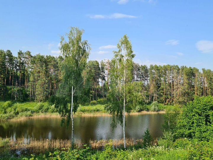 Участок 33 сот. (ИЖС)