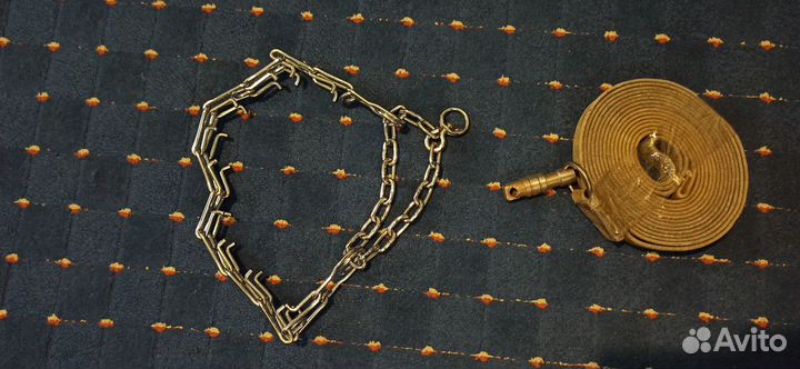 Строгий ошейник