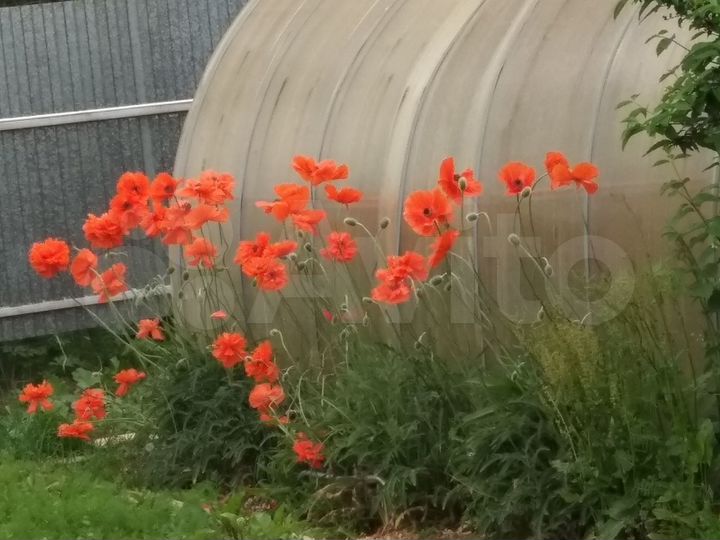 Участок 7,9 сот. (СНТ, ДНП)