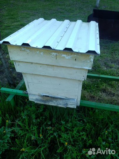 Пчелиный улей