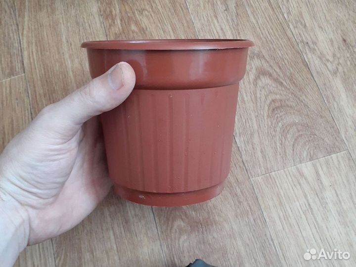 Кашпо для цветов / рассады цена за 5шт