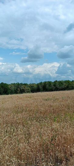 Участок 1,73 га (СНТ, ДНП)