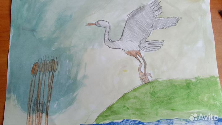 Птица пытается взлететь