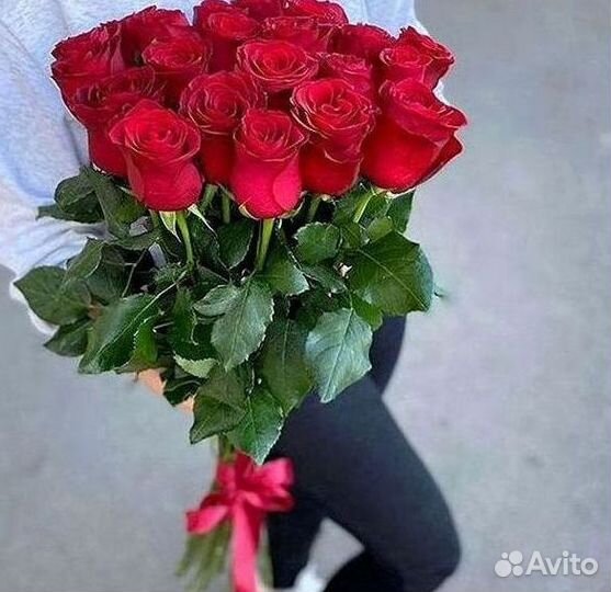 101 роза цветы букеты доставка 25 51 101 роза