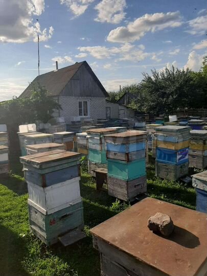 Дом 41,9 м² на участке 50 сот.