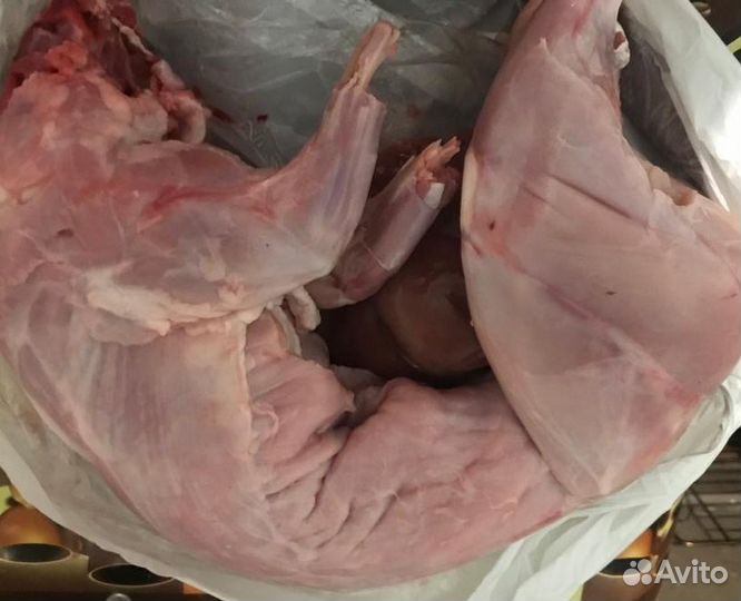 Домашнее мясо кролика