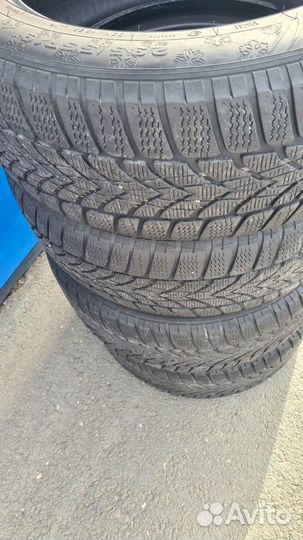 Dunlop SP Winter Sport 4D 235/55 R19 и 255/50 R19 101V