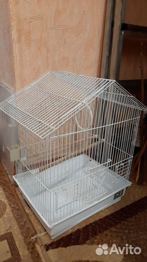 Клетка