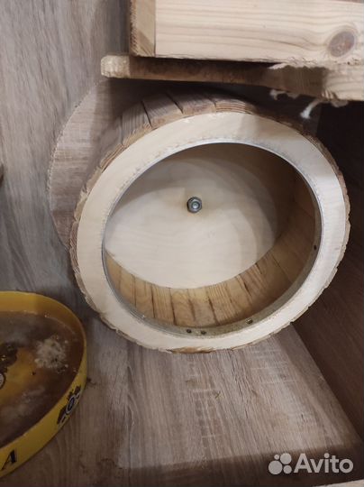 Витрина для шиншилл бу