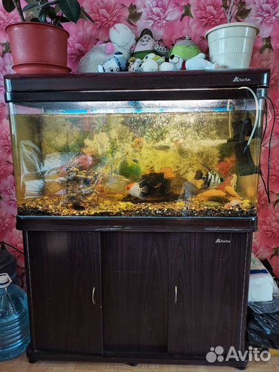 Аквариум