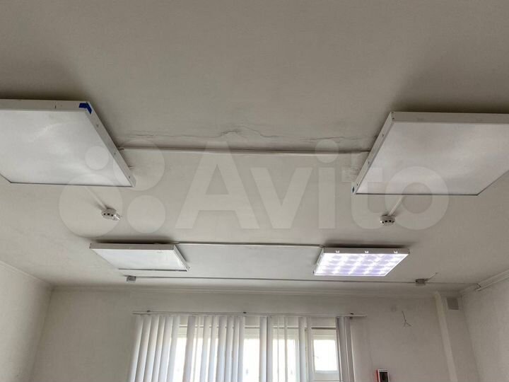 Торговая площадь, 31 м²