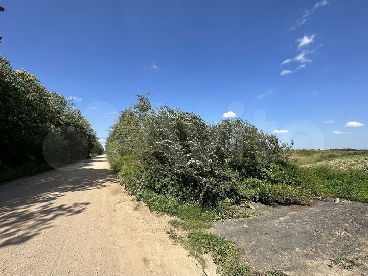 Участок 1,3 га (СНТ, ДНП)