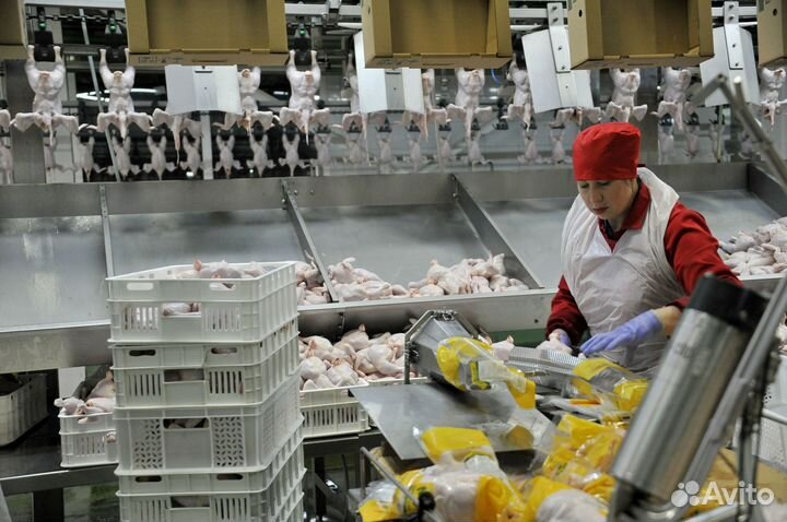 Упаковщик полуфабрикатов вахтой питание и жильё