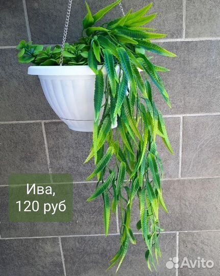 Растения искусственные