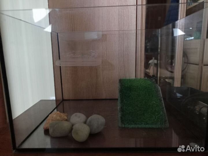 Аквариум для черепах