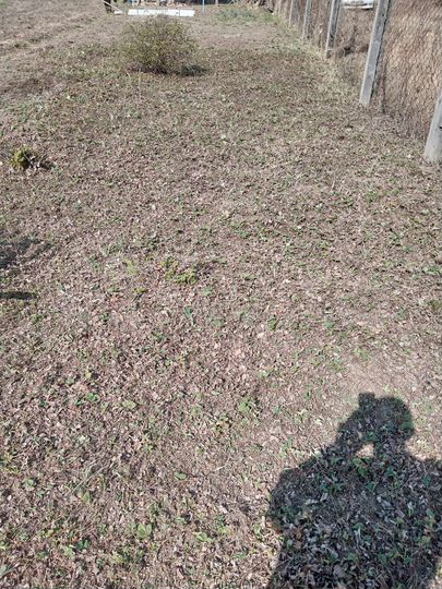 Участок 6 сот. (СНТ, ДНП)