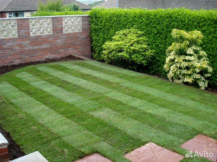 Рулонный газон под ключ производитель