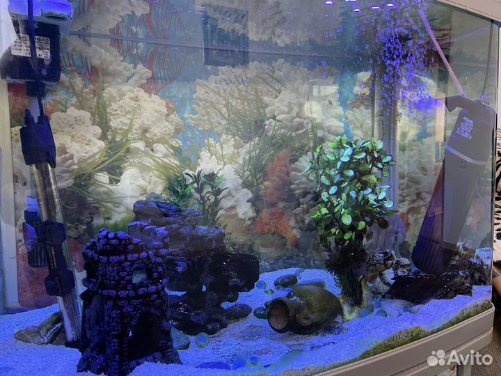 Аквариум