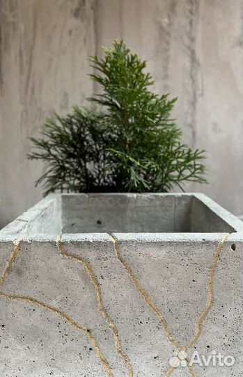 Бетонный вазон кашпо горшок