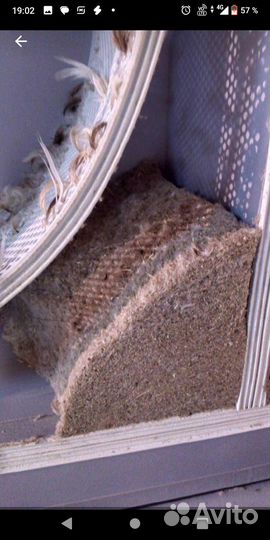 Реставрация пухово- перьевых подушек