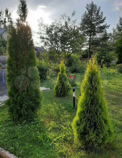 Дача 130 м² на участке 6 сот.