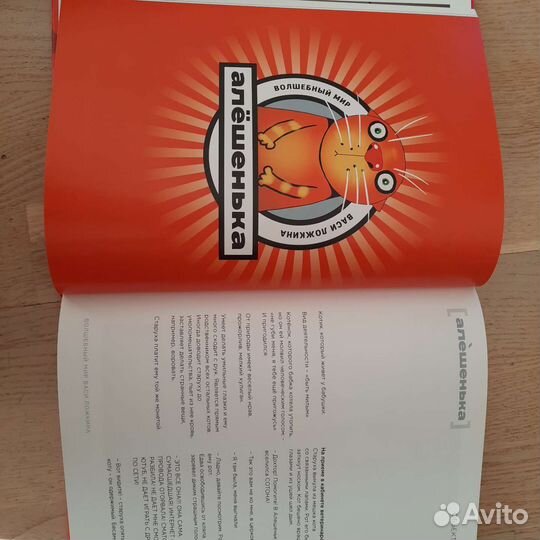 Волшебный мир Васи Ложкина